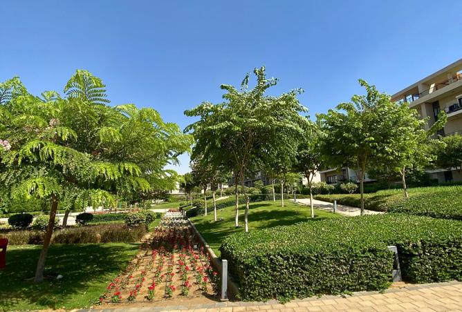 8182224 - Property Image 2