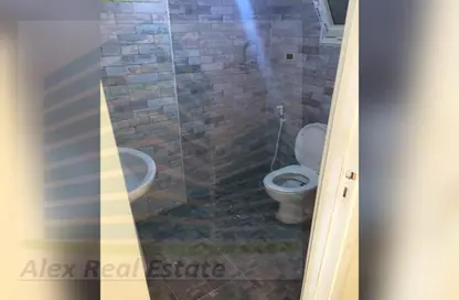 شقة - 3 غرف نوم - 2 حمامات للايجار في طريق الجيش - كليوباترا - حي شرق - الاسكندرية