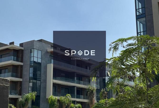 8271486 - صورة العقار 3