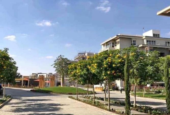 8234144 - صورة العقار 2