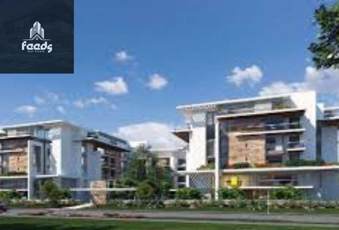 8324543 - Property Image 3