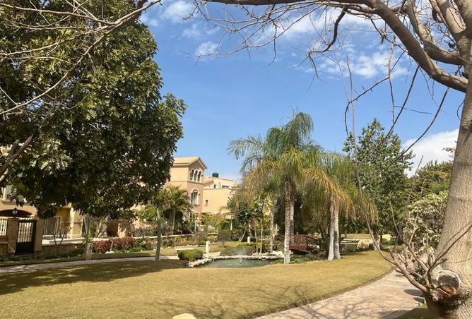 7964526 - صورة العقار 2