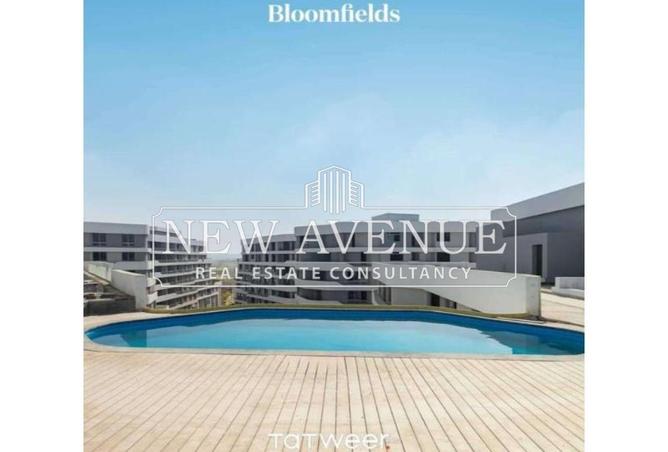 8438785 - صورة العقار 3