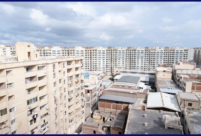 8247517 - صورة العقار 2