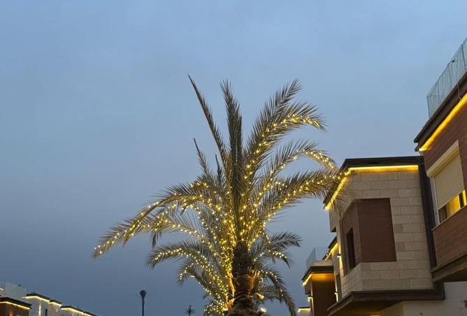 8184584 - Property Image 3