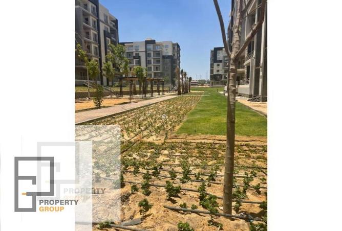 8303803 - صورة العقار 3