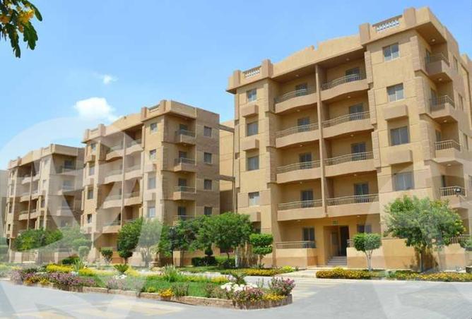 8100768 - Property Image 3