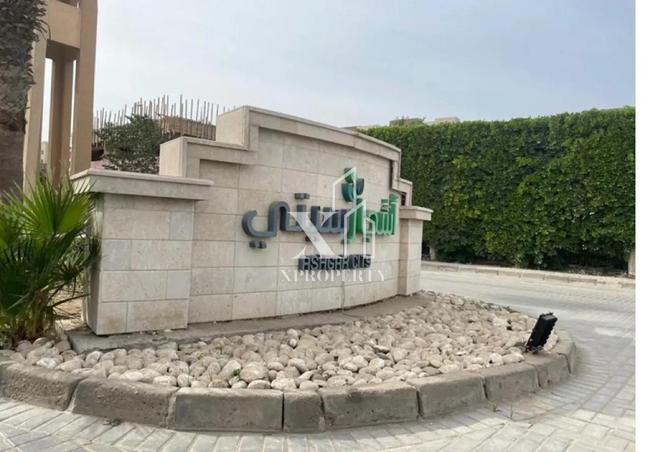 8409633 - Property Image 3