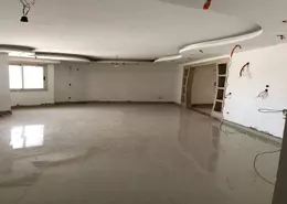 Apartment - 3 Bedrooms - 3 Bathrooms for sale in Omarat Madinet Al Fath St. - Al Hadiqah Al Dawliyah - 7th District - Nasr City - Cairo