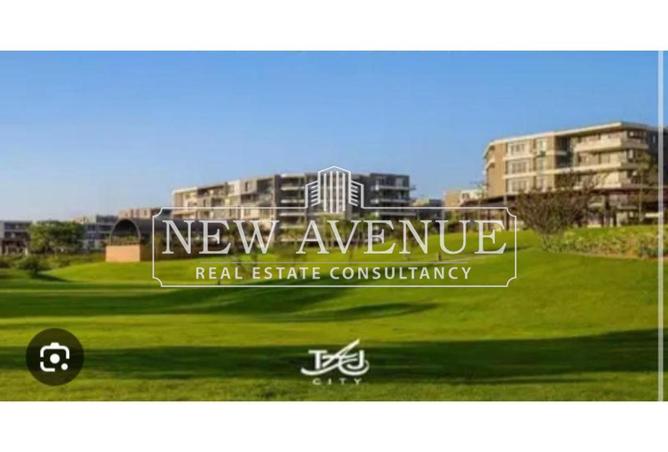 8129732 - Property Image 3