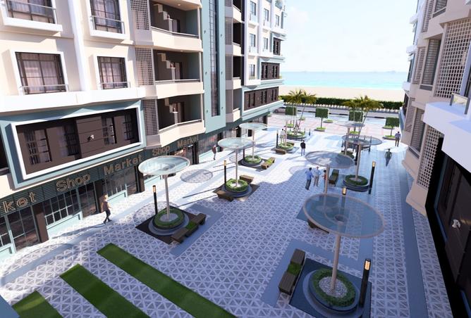 7905634 - Property Image 3
