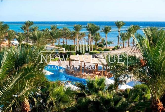 8437528 - Property Image 3