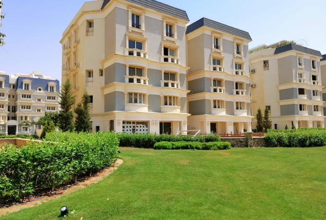 8437561 - Property Image 3