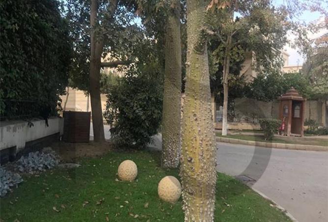 8251033 - Property Image 3