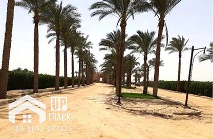 قطعة أرض - استوديو للبيع في وادي النخيل - طريق مصر اسكندرية الصحراوي - مدينة 6 أكتوبر - الجيزة