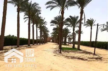 Land - Studio for sale in Wadi Al Nakhil - Cairo Alexandria Desert Road - 6 October City - Giza