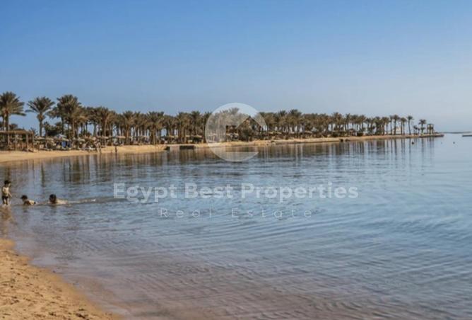 7977979 - صورة العقار 2