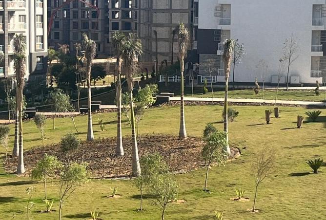 8504202 - صورة العقار 2