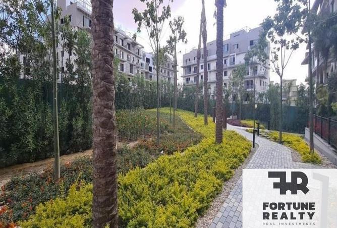 8372432 - Property Image 3