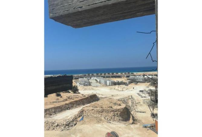 7998051 - Property Image 3