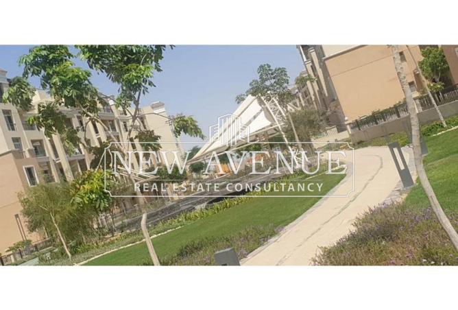 8251794 - Property Image 3