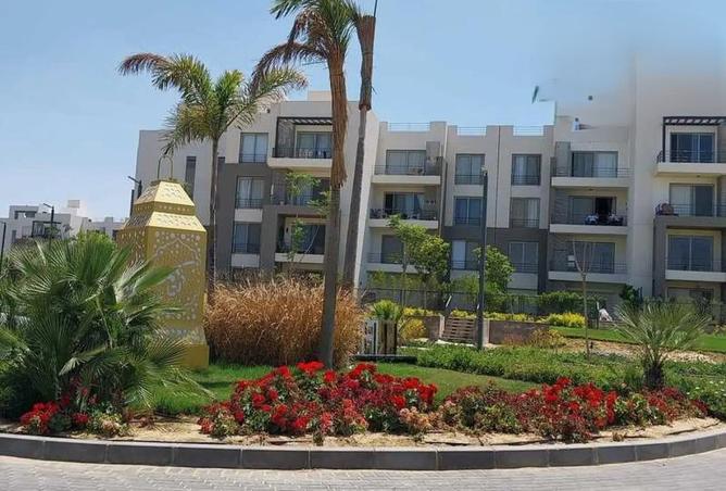 8430928 - Property Image 3