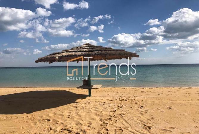 7934919 - صورة العقار 2