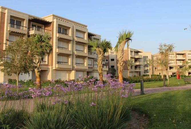 8393935 - Property Image 3