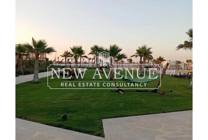 8360597 - Property Image 2