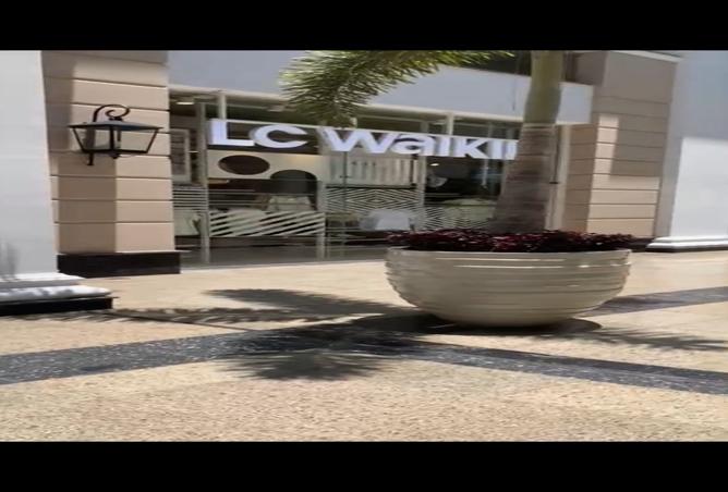 8136092 - صورة العقار 3