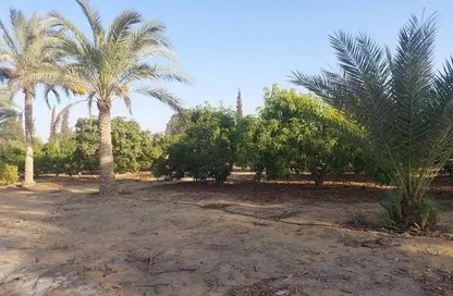 قطعة أرض - استوديو للبيع في جمعية احمد عرابى - مدينة العبور - القليوبية