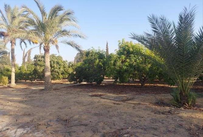 7974748 - الصورة الرئيسية للعقار