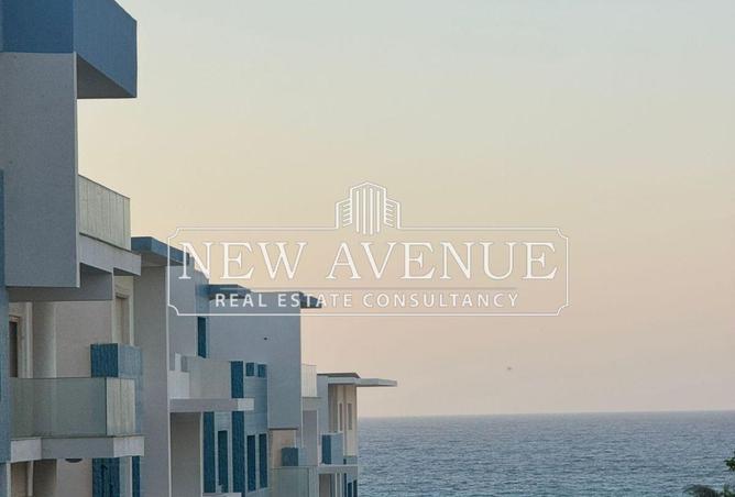 8186860 - Property Image 2