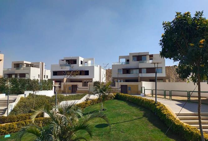 7983951 - Property Image 3