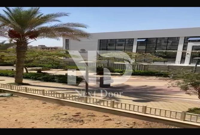 7997225 - Property Image 3