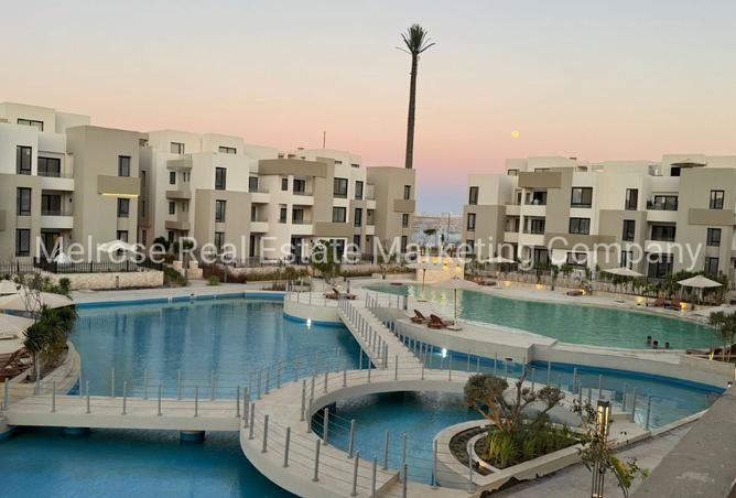 8362503 - Property Image 2