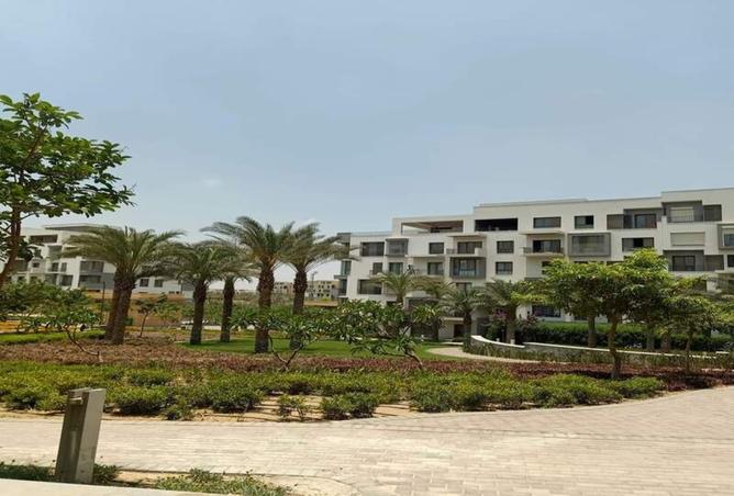 8259339 - صورة العقار 3