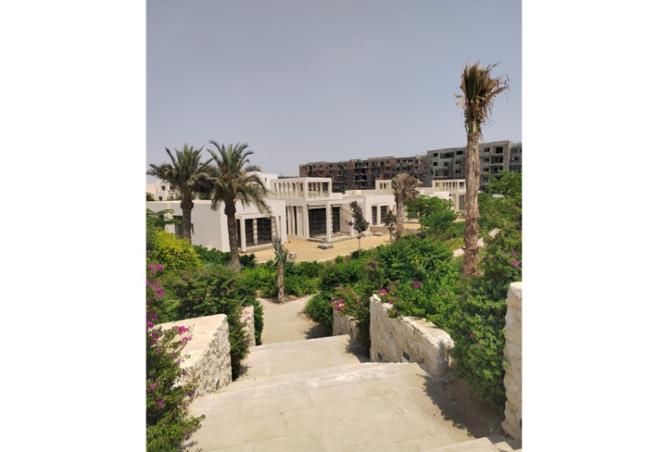 8080114 - صورة العقار 2