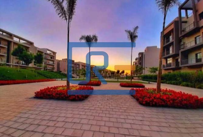 8129382 - Property Image 2