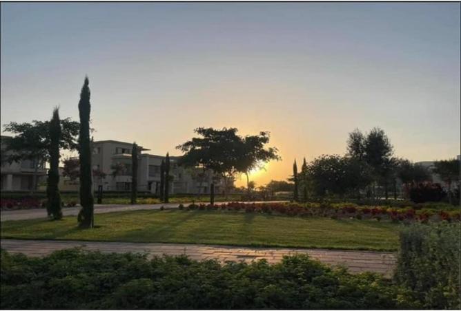 8018450 - صورة العقار 3