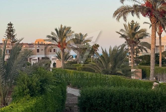 8142775 - صورة العقار 2