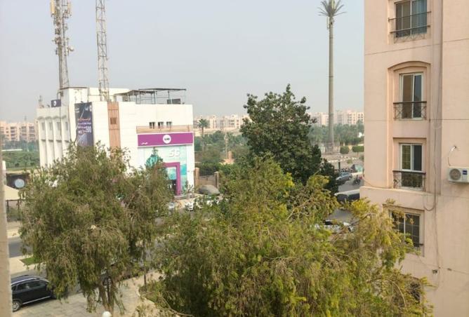 8445579 - Property Image 3