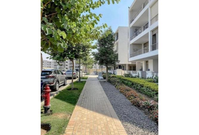 8167900 - Property Main Image