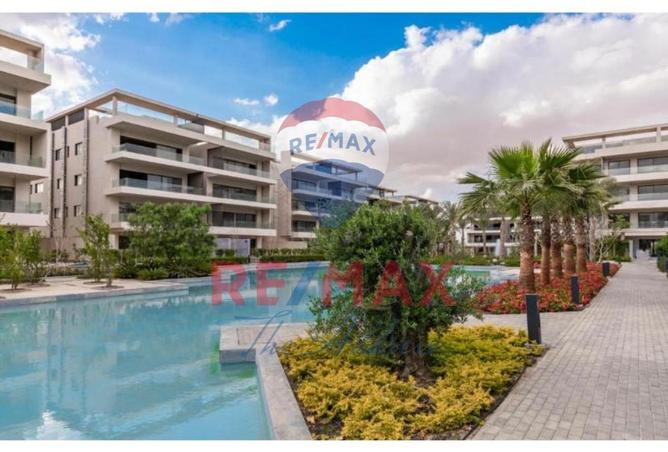 8193942 - Property Image 3