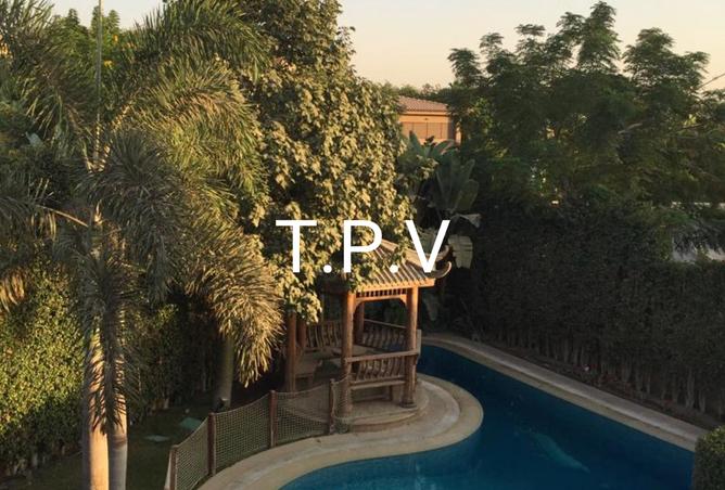 8075436 - Property Image 3