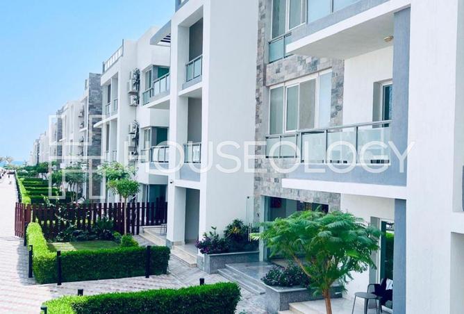 7936179 - Property Image 3