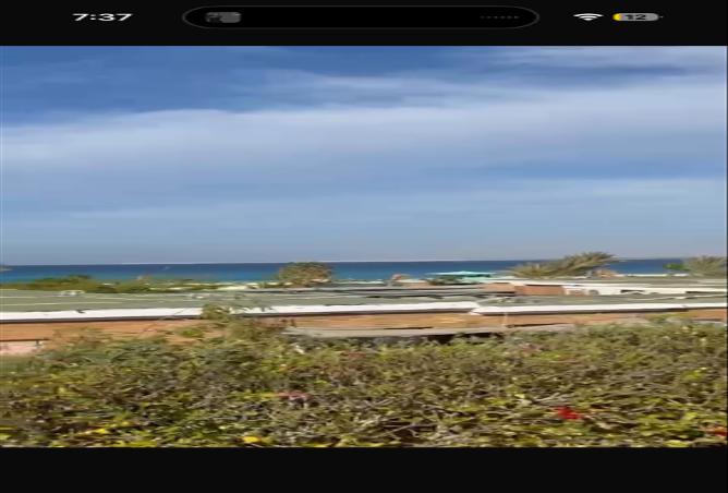 8369303 - صورة العقار 2