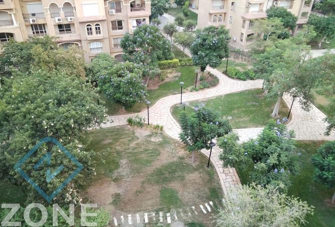 8066966 - صورة العقار 3