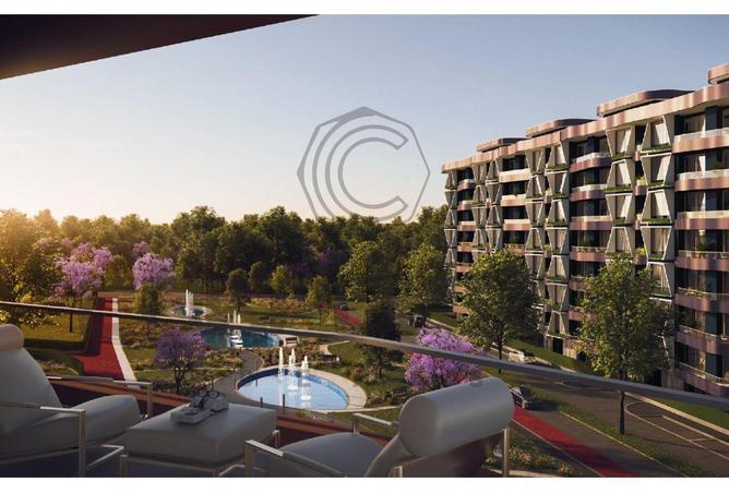 8078376 - Property Image 2
