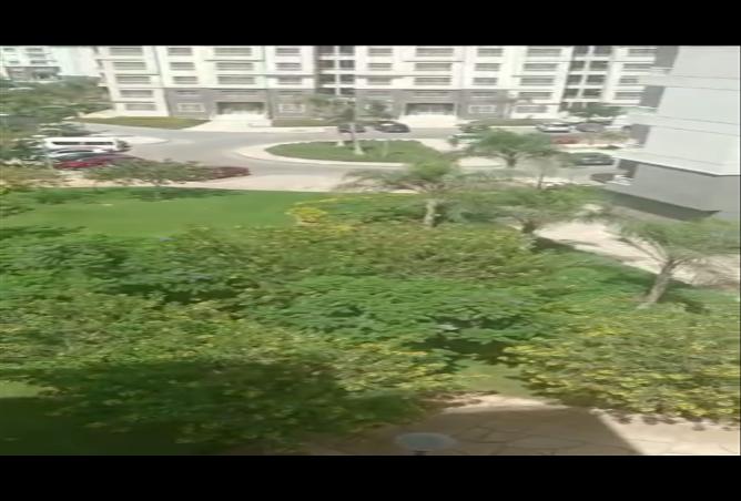 7987091 - صورة العقار 2